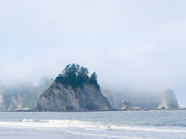 Wild, Jamie and Judy 아티스트의 Washington State-Olympic National Park-Rialto Beach James Island작품입니다.